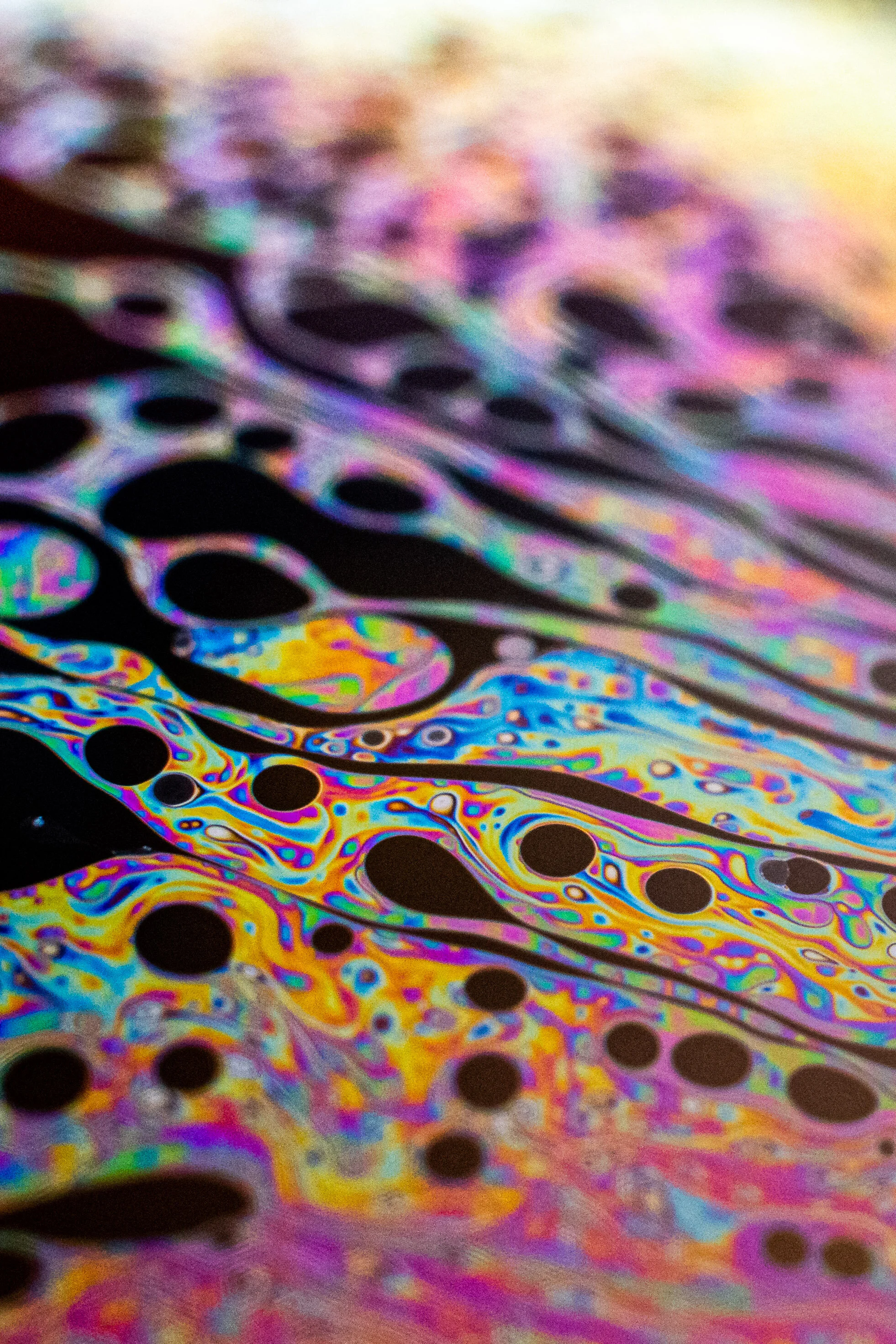 Macro-57.jpg