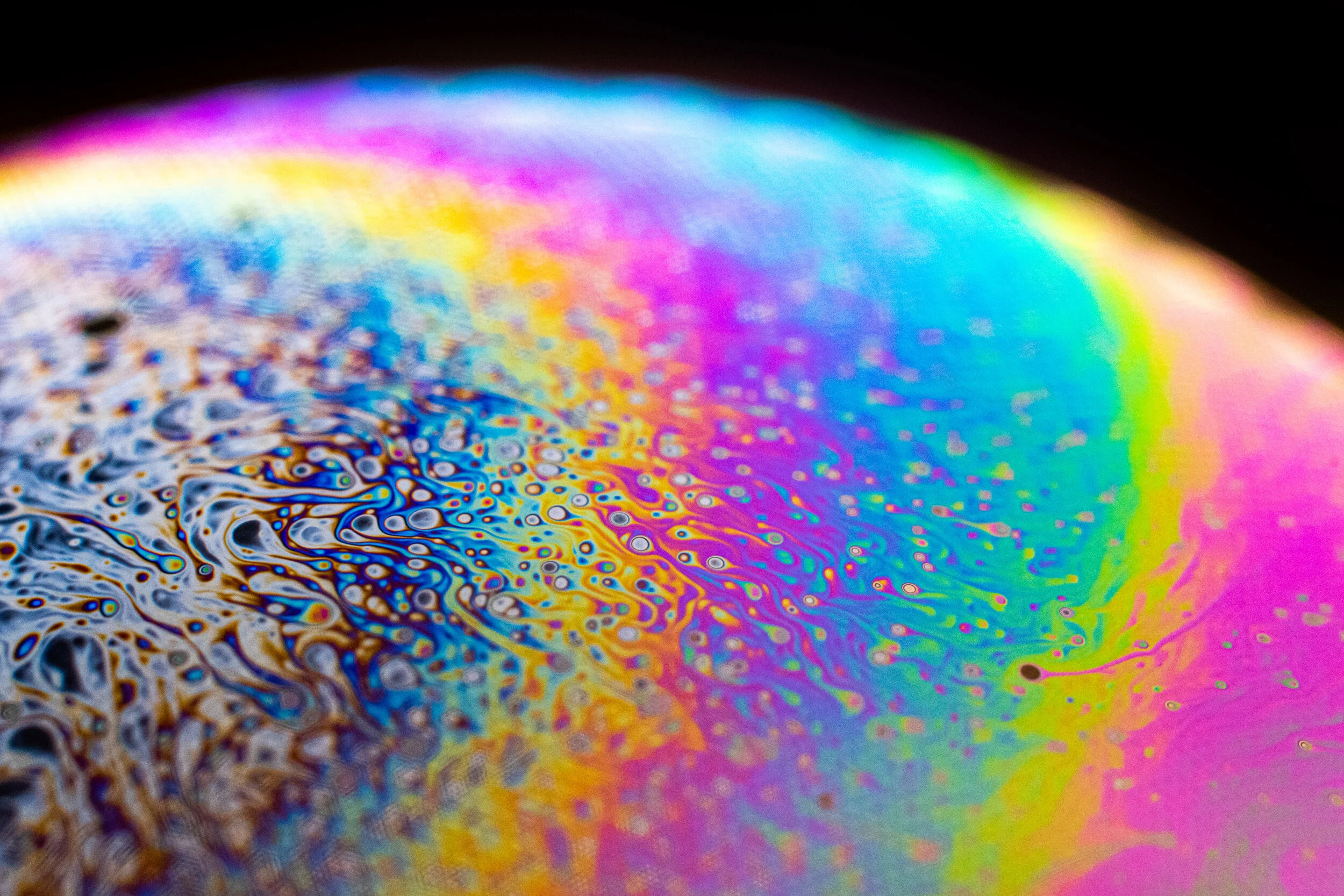 Macro-47.jpg