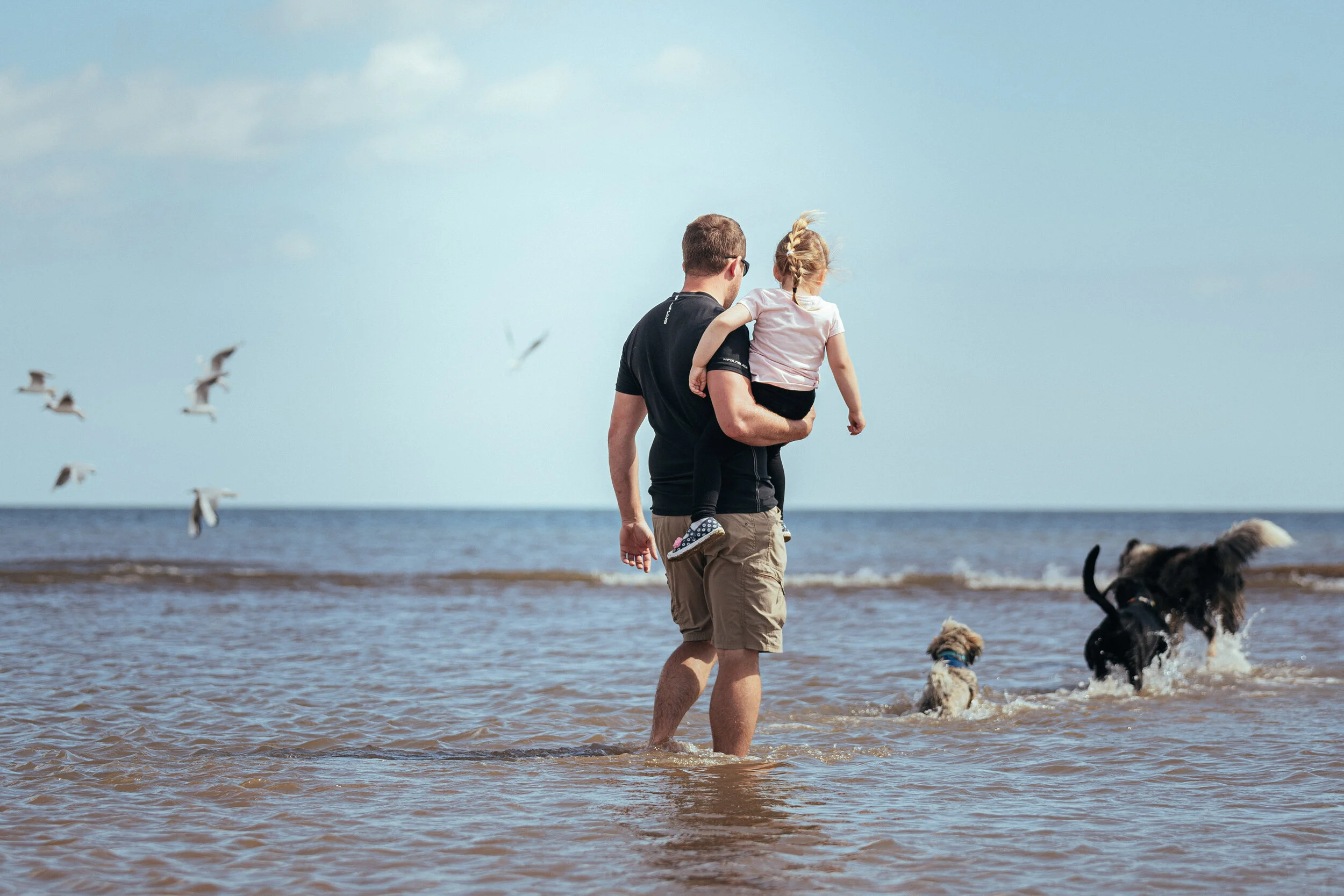 Dog walk beach-22.jpg