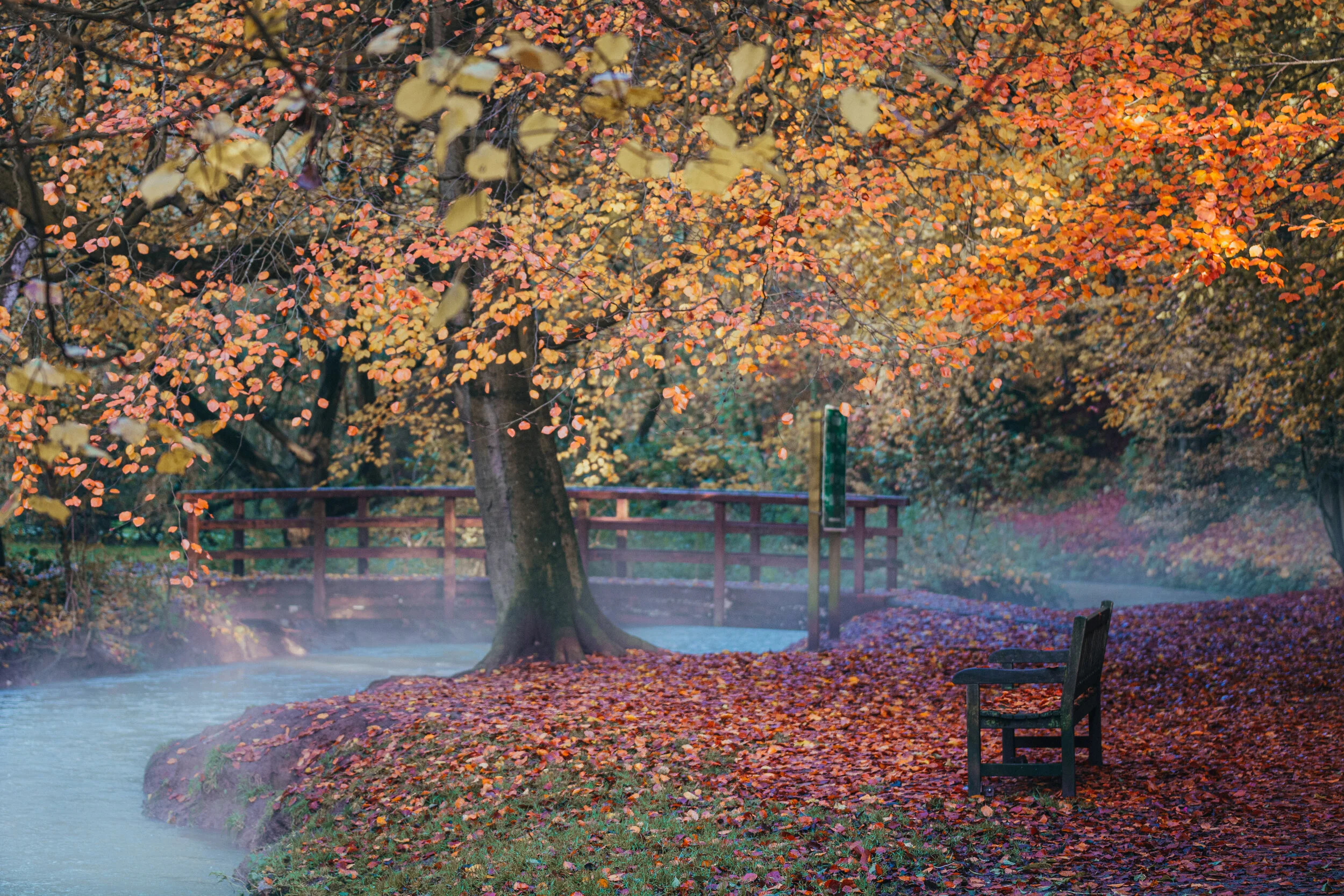 autumn-2.jpg