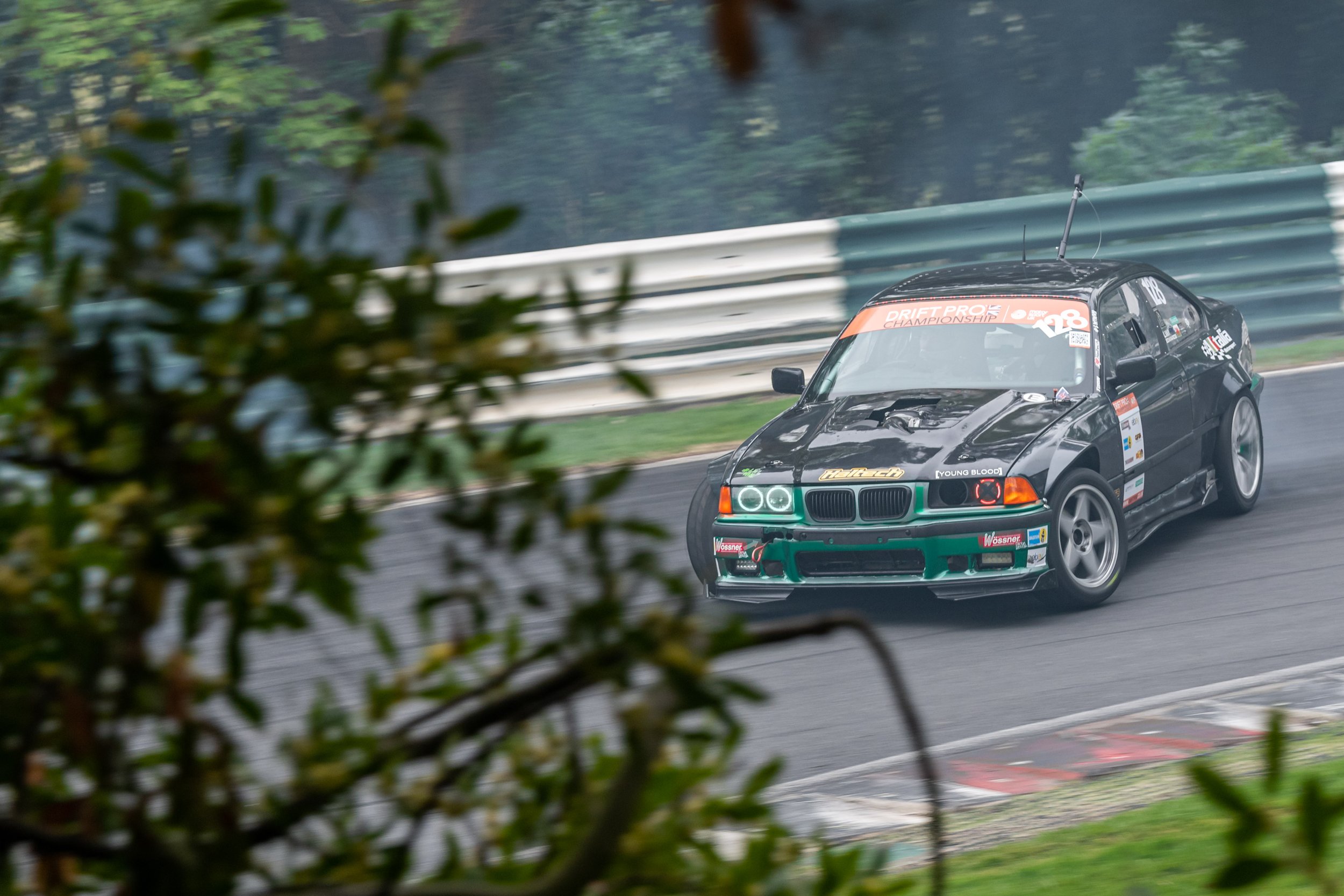 modified live-32.jpg