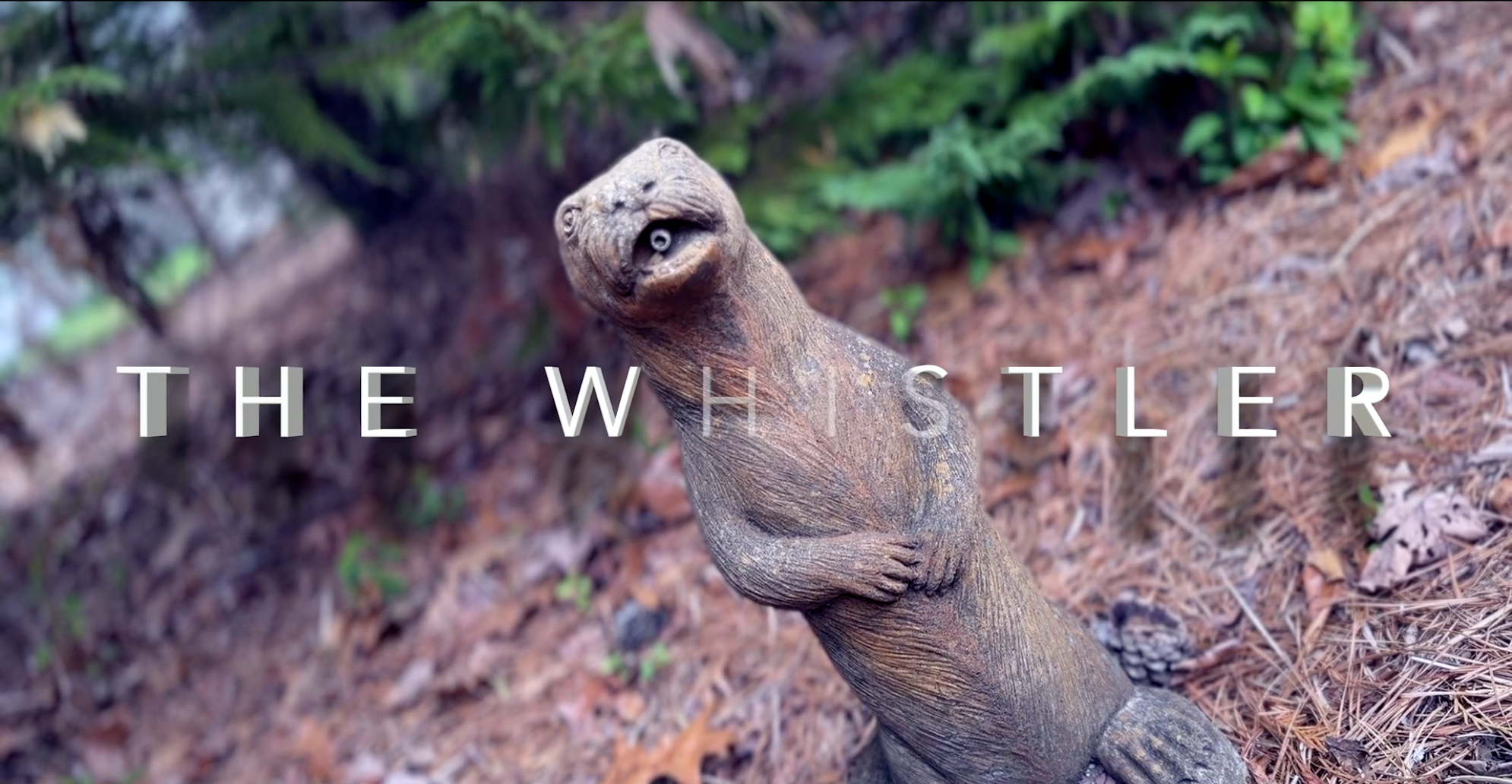 A wooden sculpture resembling a otter with a rounded head, open mouth, and small hands, situated outdoors on a forest floor with pine needles and green foliage in the background, with the title "The Whistler" overlaid.