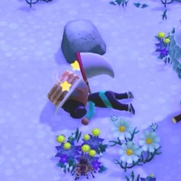 ACNH: Tarantula Island Tips and Tricks!