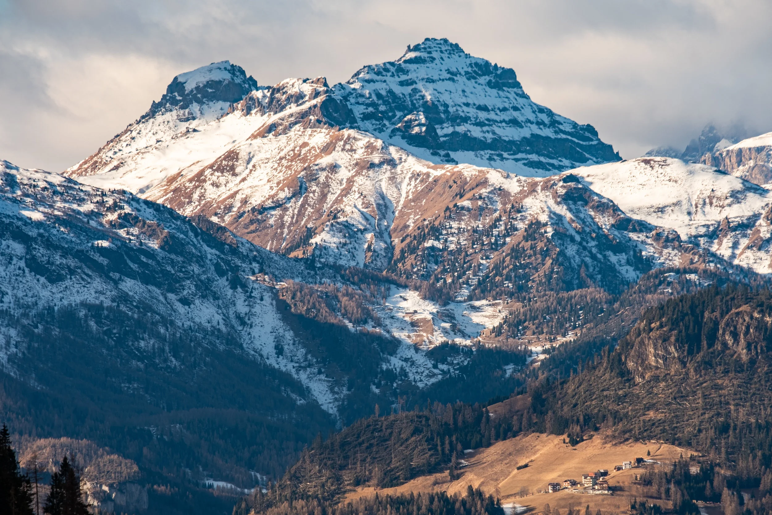 Schönheit mit Harfe