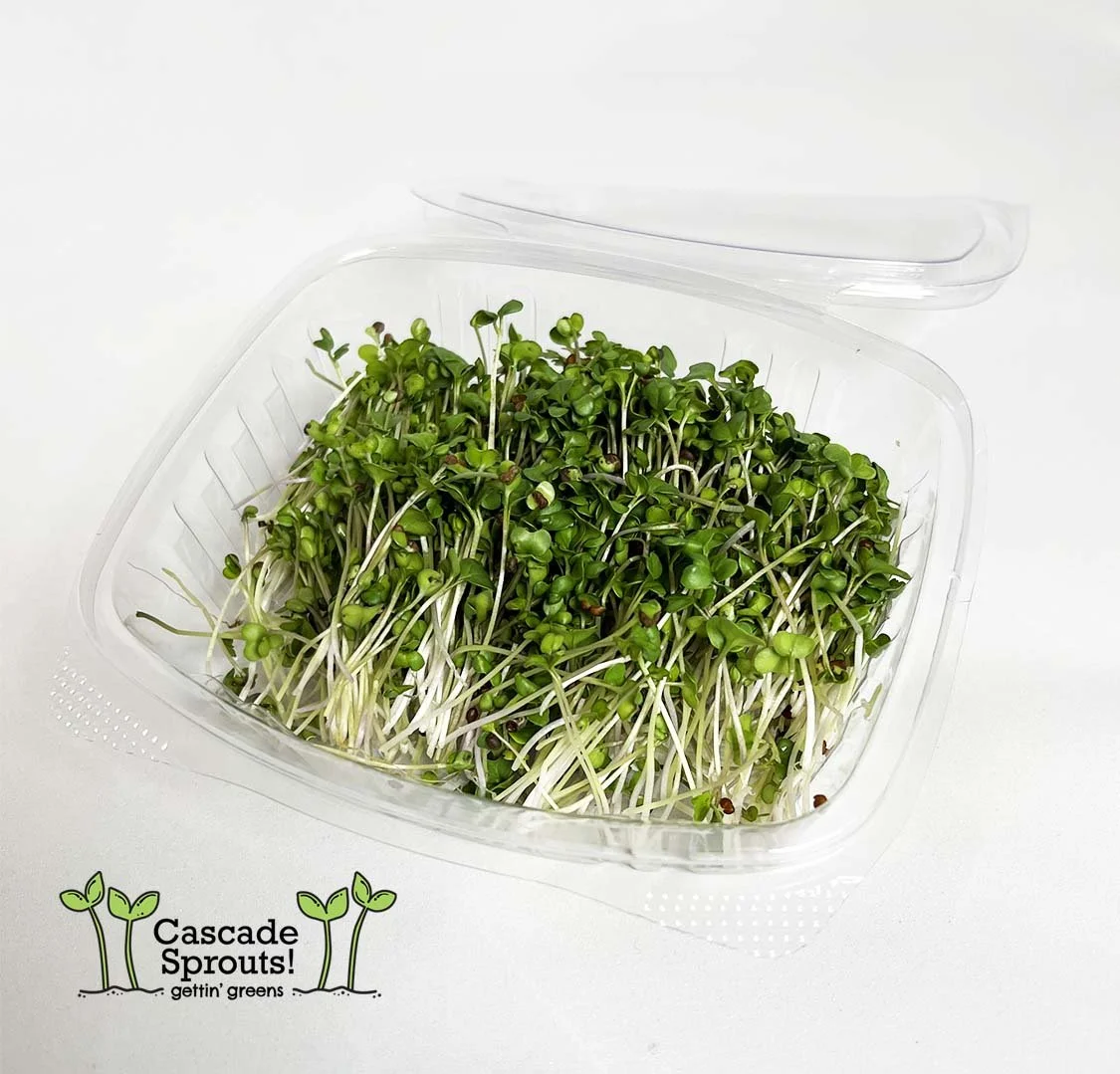 Broccoli — Cascade Sprouts