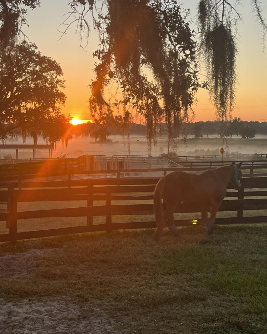 Good morning Ocala!