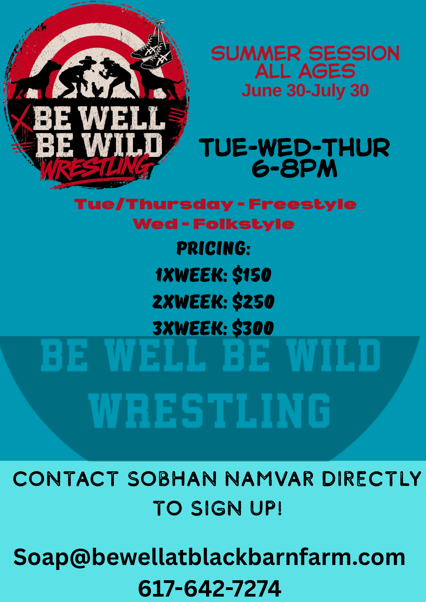 A promotional poster for a wrestling summer session. It has an illustration of two wrestlers fighting, a target with a shoe and a hat, and the slogan 'Be Well Be Wild Wrestling'. Details include dates, times, genres, pricing, and contact information for sign-up.