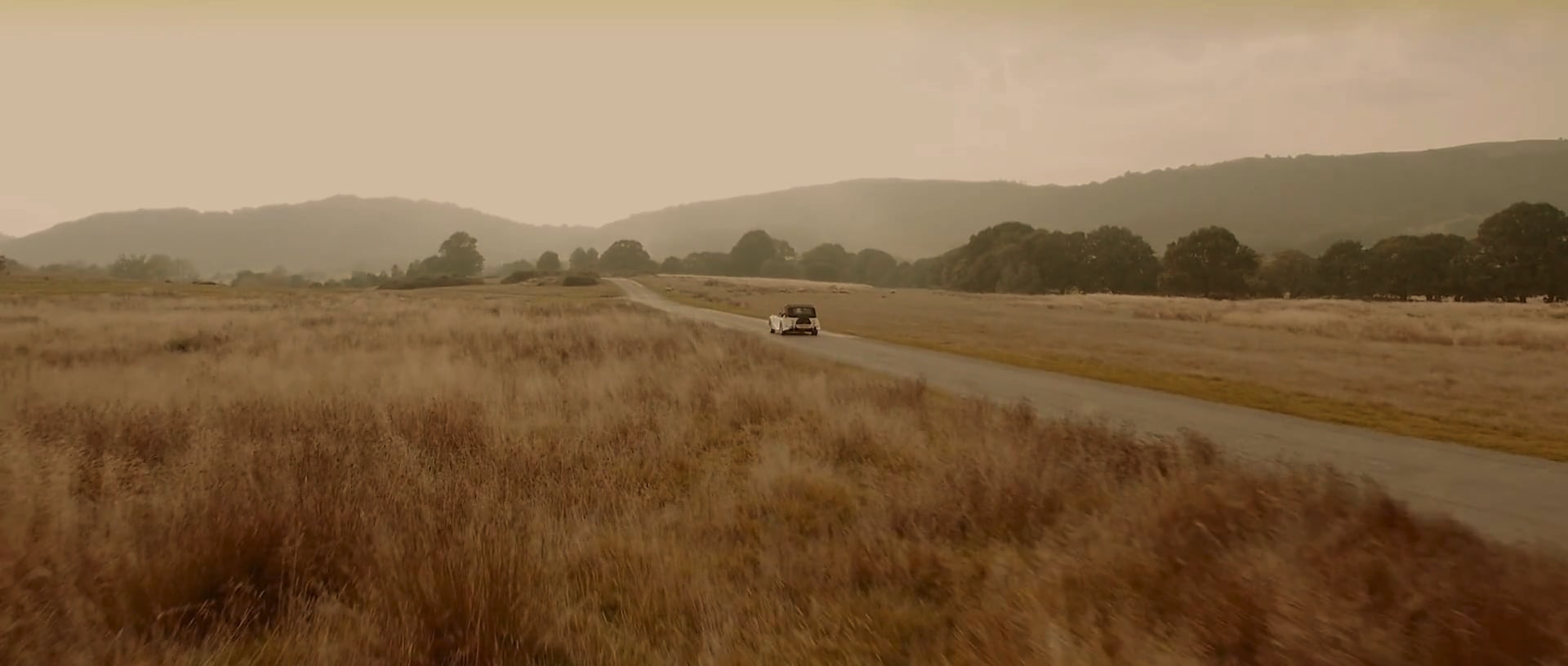 Screen Shot 2020-02-24 at 10.46.59 AM.png