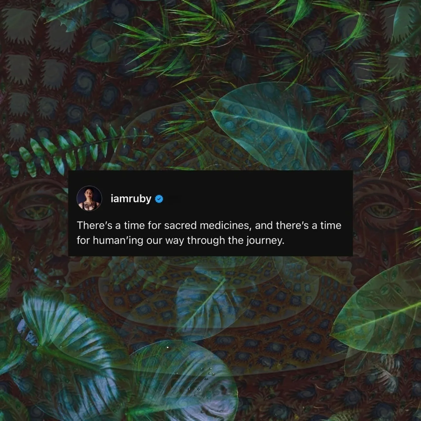 In plant medicine spaces, and in the magical windows leading up to and after these experiences - Are you learning, growing, challenging yourself, stepping up, showing up, and thriving? Or are you simply trying to escape, to avoid the hard things and 