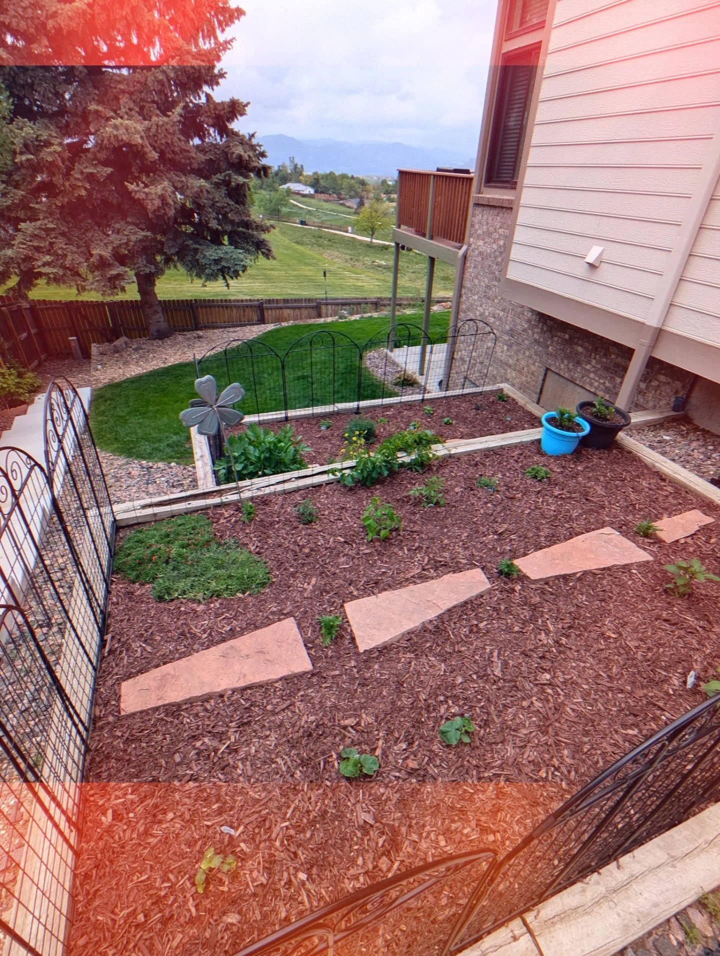 'Tis the season! My favorite season! Plant medicines come in many forms, and sometimes the medicine is just being outside, in nature, hands in the dirt and skin in the sun, washed clean by the breeze and the rain!