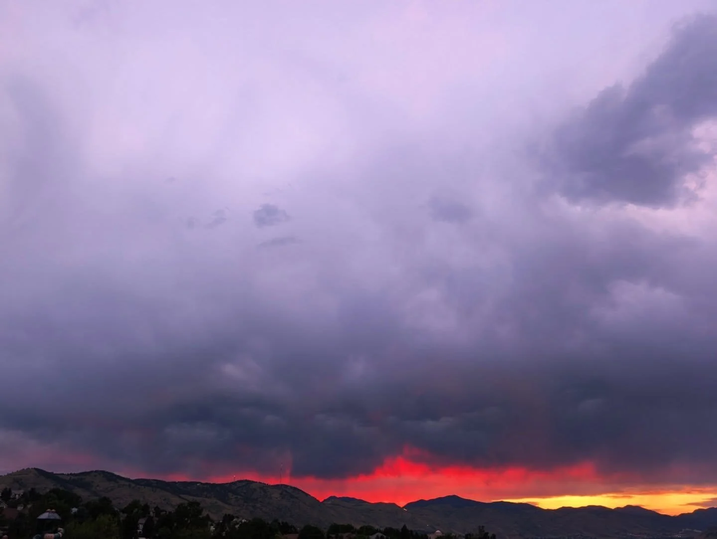 Finding the little moments of beauty that surround us day to day...