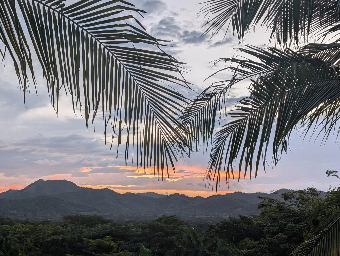 Bringing together hearts and minds to discover the opportunities and potential to save this beautiful oasis of peace, hope, healing, and love for future plant medicine, yoga, meditation, and wellness/integration retreats! The universe aligns with tru