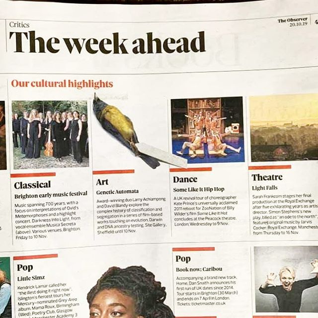 Fantastic to see Musica Secreta's upcoming performance at the Brighton Early Music Festival featured in the Observer!
.
The event includes the first live performance of the lost verses of Antoine Brumel's Lamentations of Jeremiah. If you can't make t