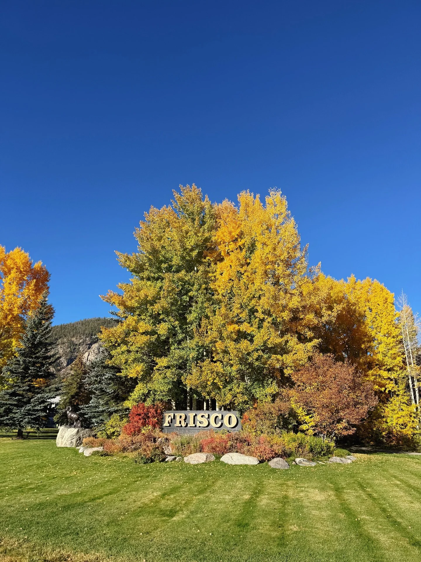 Fall in Frisco is our fave 🥰