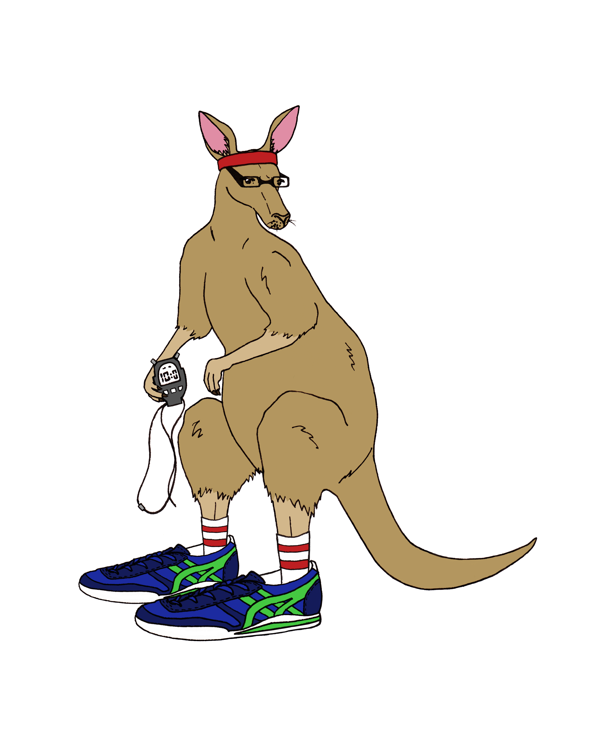 kanga the kangaroo