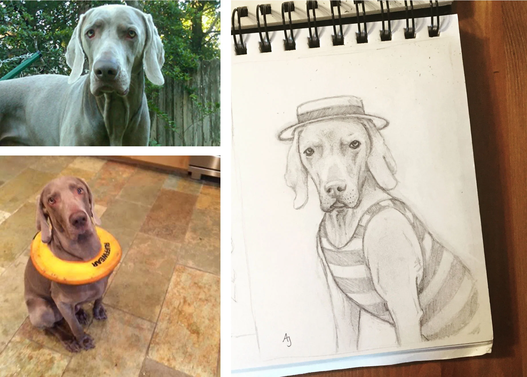 reference photos and initial sketch