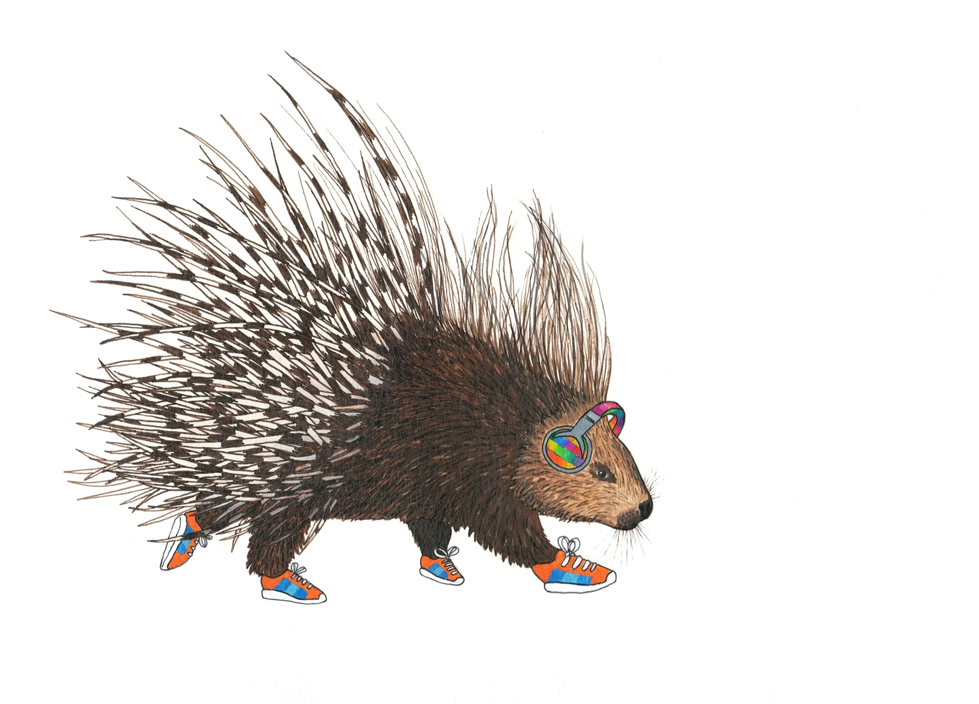 porky the porcupine