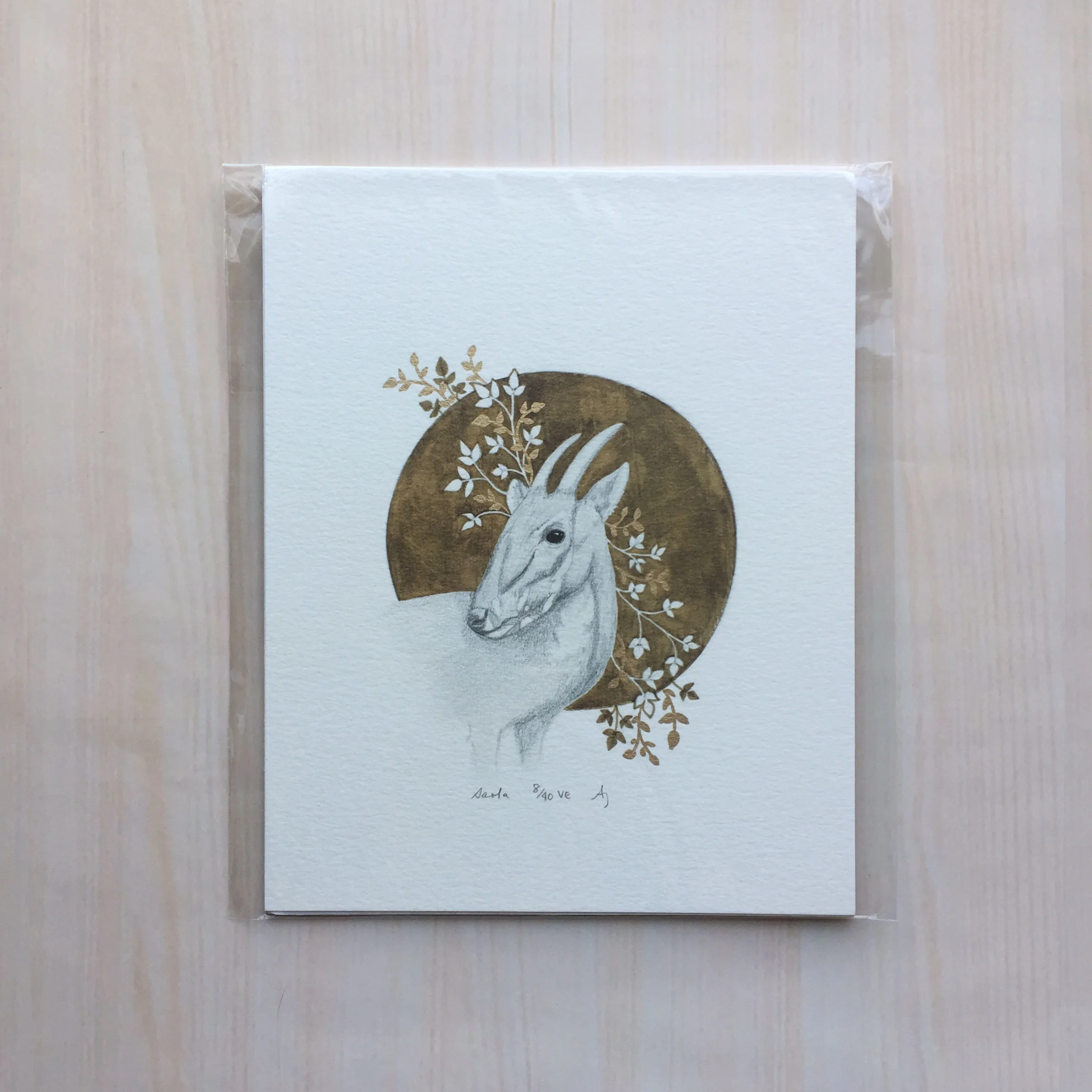 Sacred Animal: Saola Size: 8”x10" Printing: digital, metallic ink Paper: watercolor Original Medium: graphite Editions: varied, limited to 40
