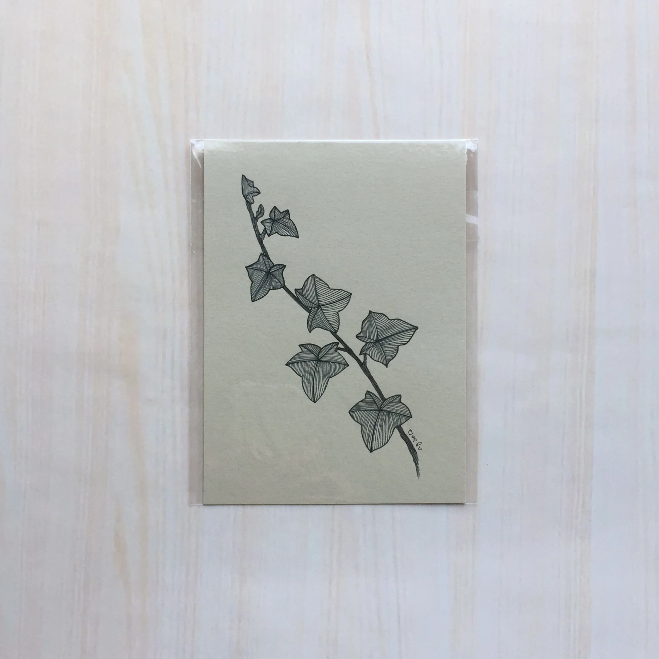 Ivy Size: 5”x7" Printing: digital Paper: cardstock Original Medium: ink Editions: open