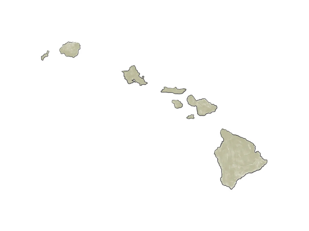 spot2.jpg