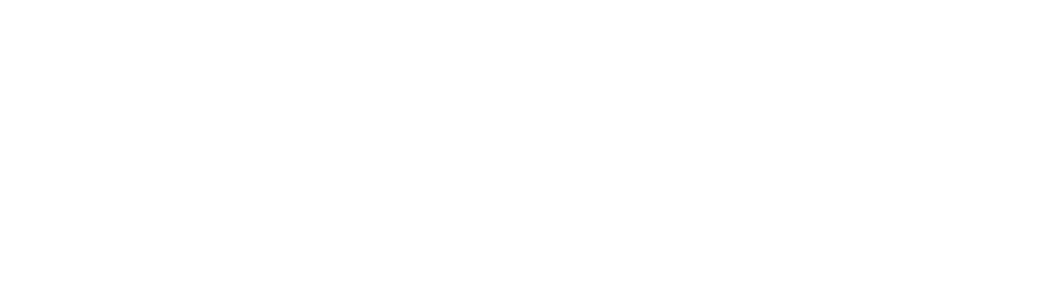 Fluvio