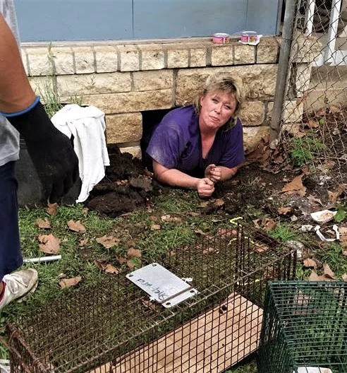 Trappers Corner — TNR Texas