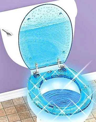 The Reinvented Toilet