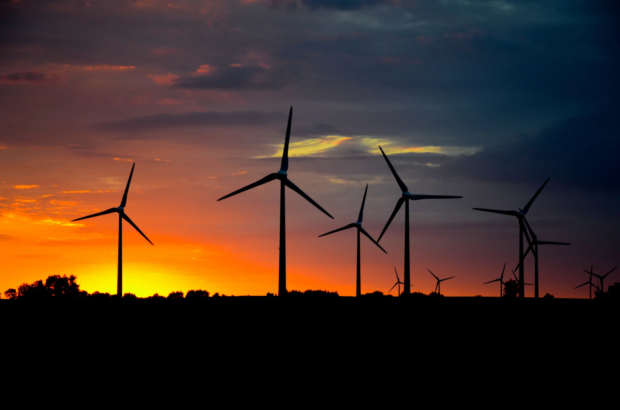 wind-in-sun.jpg