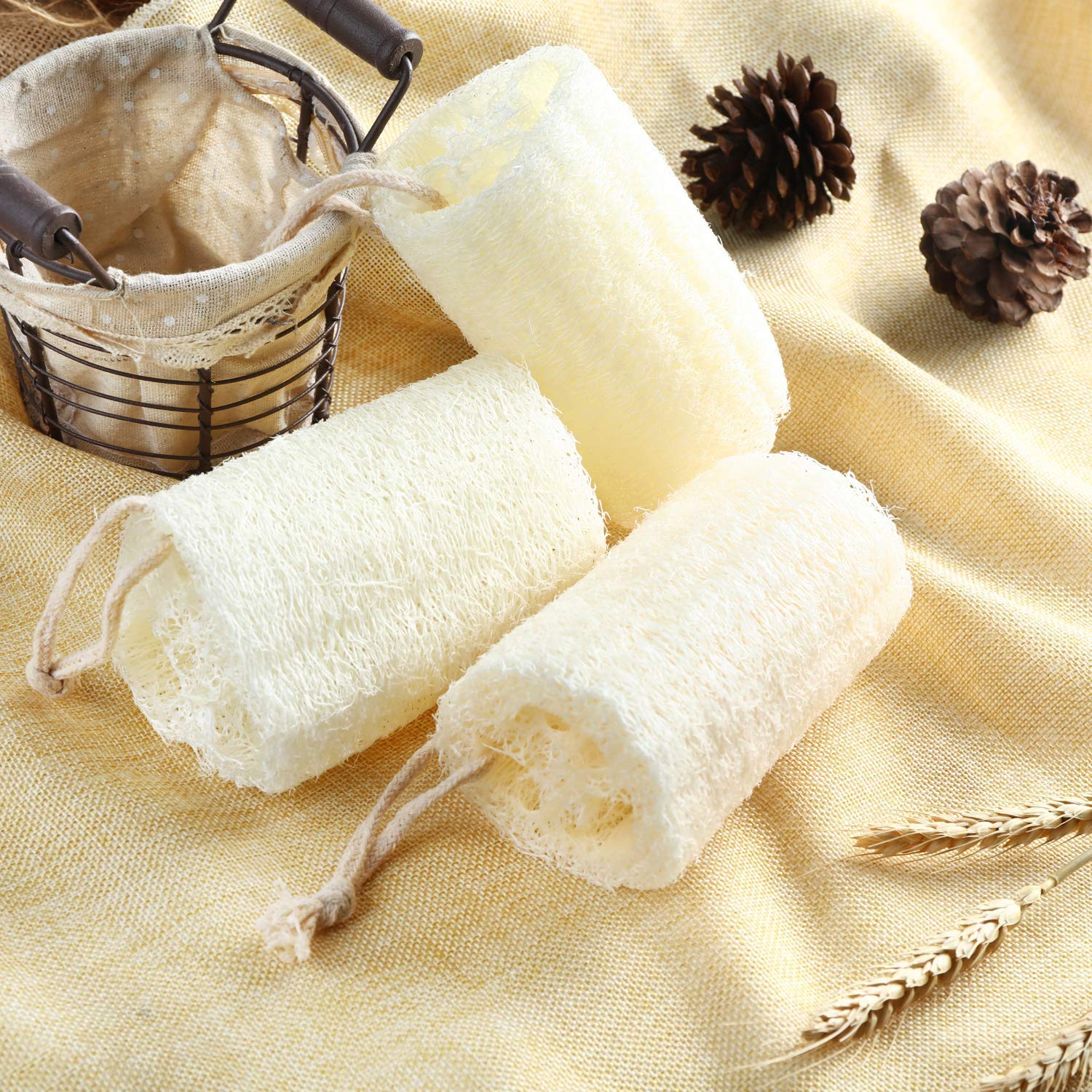 Loofah .jpg