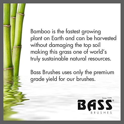 Bass Brush (3).jpg