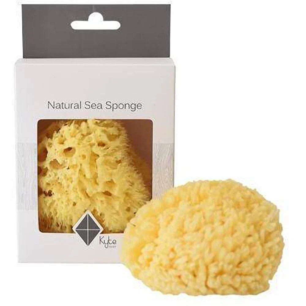 Baby Sponge.jpg