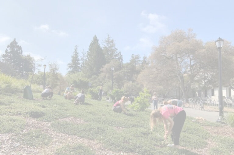 Weeding-at-Berkeley-600x450.jpg