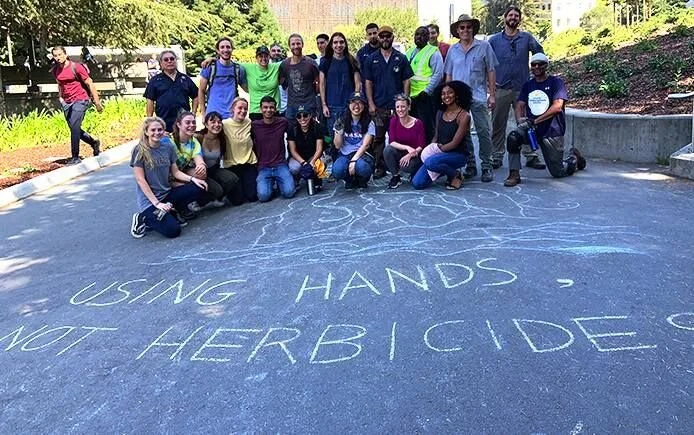 Herbicide-free on Campus and Beyond - Mackenzie’s PAN Blog Post