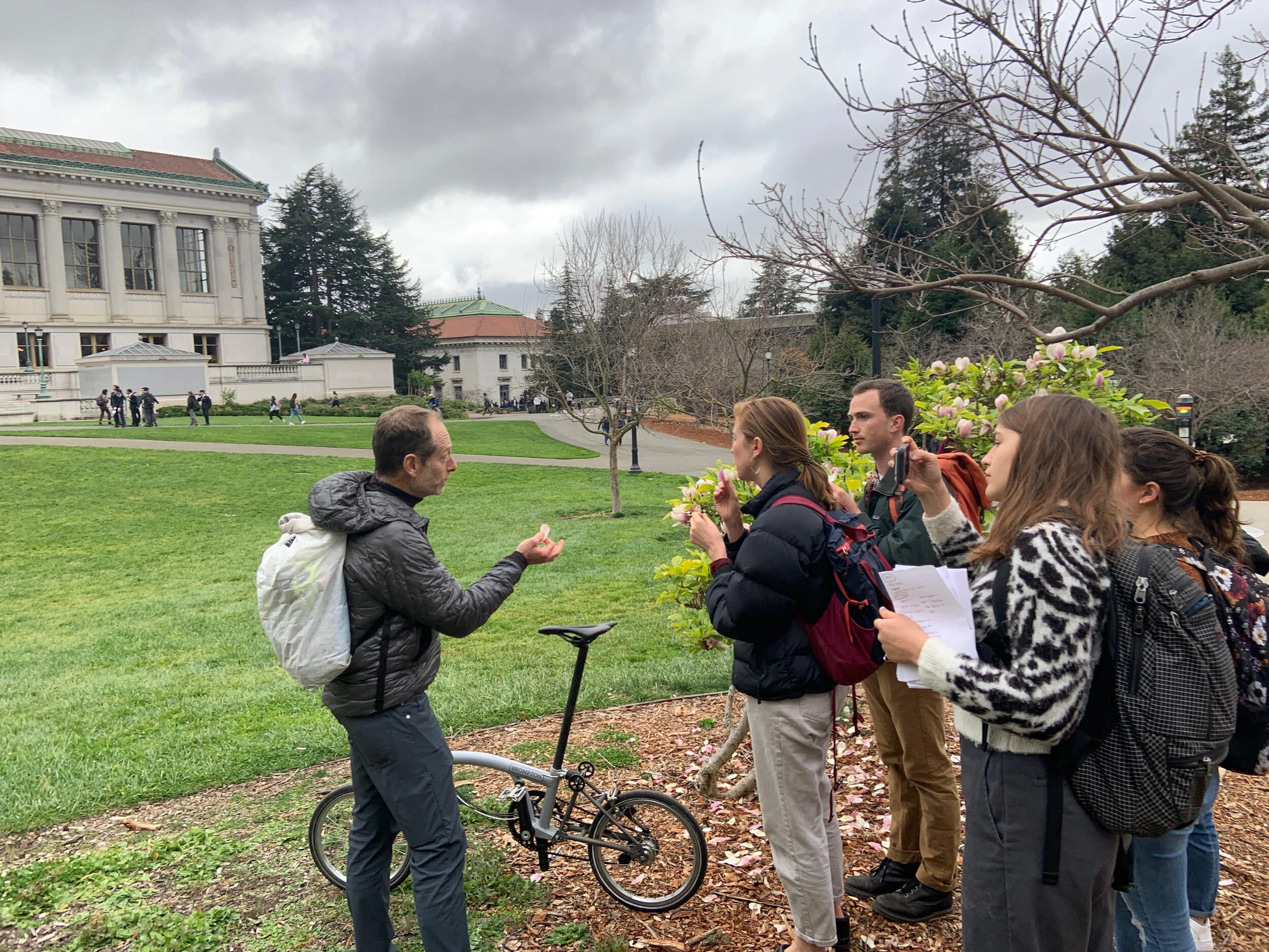 Foraging for Edible Weeds on the Berkeley Campus with Professor Philip Stark