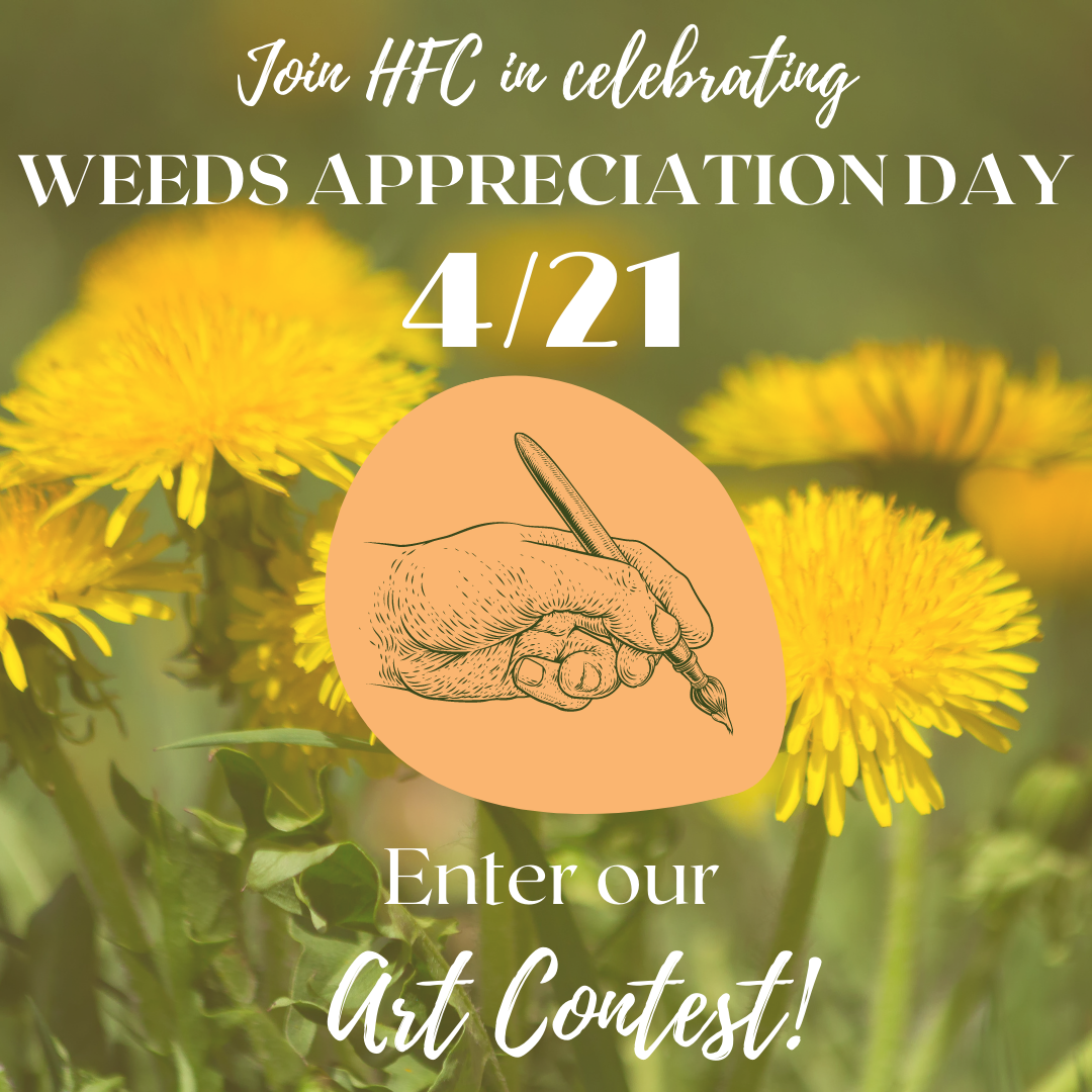 4/7/21: Weeds Appreciation Day Art Contest Announced
