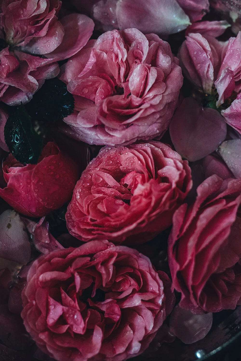 Edible Rose Products Rose Water Rose Syrup Rose Petal Jam Ischta