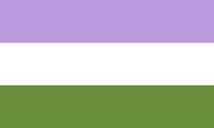 genderqueer_flag.jpg