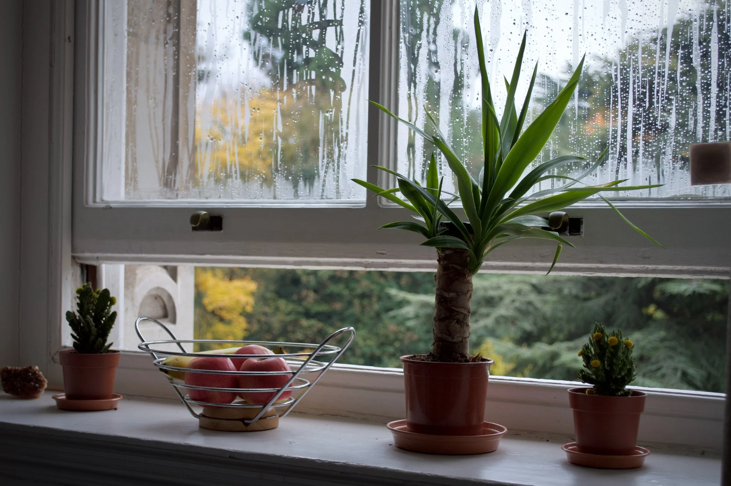 8 Tips For Improving Indoor Air Quality 