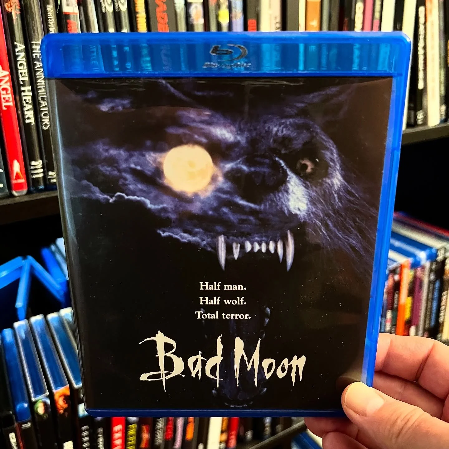 #NowWatching at PAD Studio: North - BAD MOON (1996)

I remember really digging this when I watched it back in the day. Hope it holds up! Also, side note: I graduated highshool in &lsquo;96. Just sayin&rsquo; 🤷 -Corey
&mdash;&mdash;&mdash;&mdash;&mda