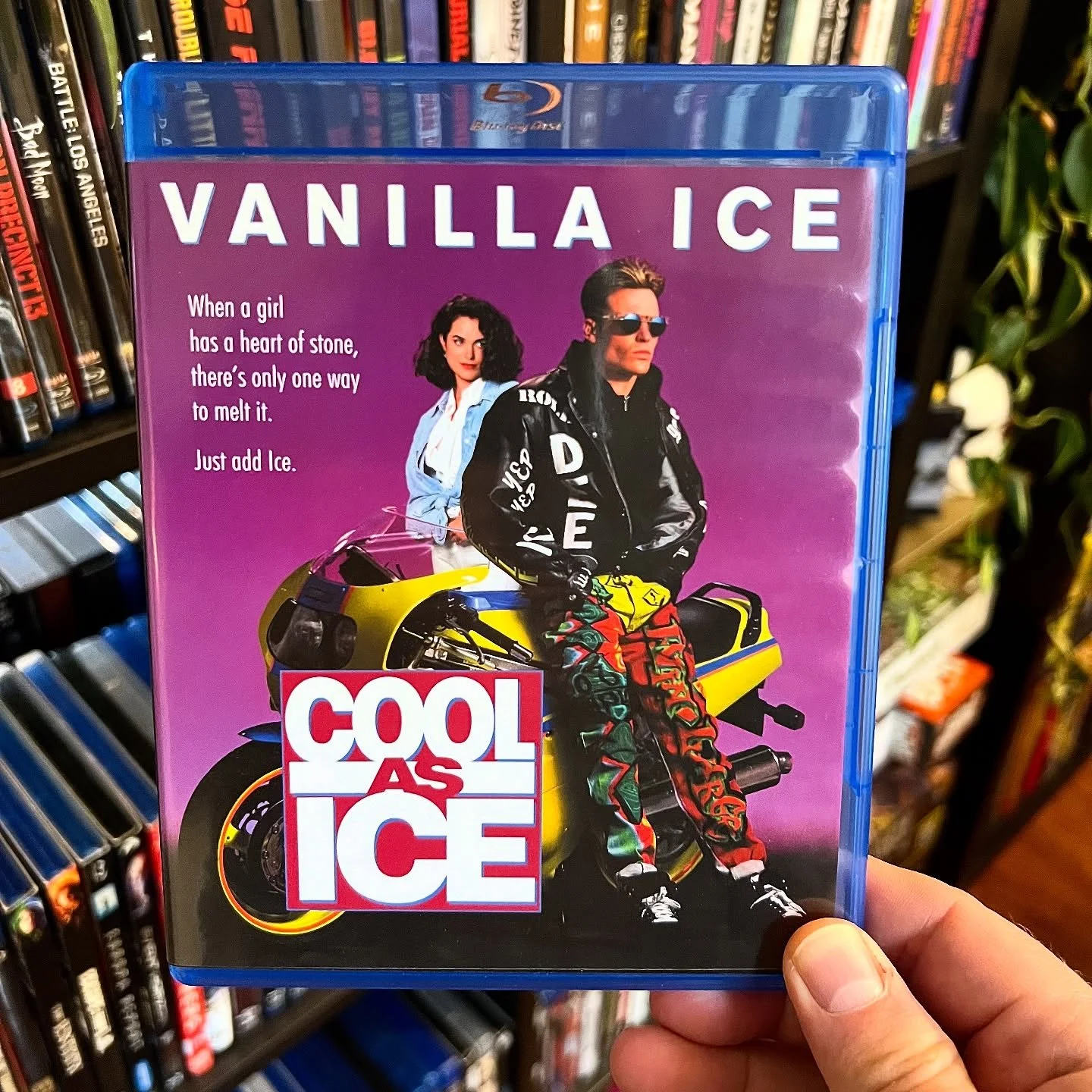 #NowWatching at PAD Studio: North - COOL AS ICE (1991)

Taking a break from horror movies so I can prep for the interview with Michael Gross on Wednesday -Corey
&mdash;&mdash;&mdash;&mdash;&mdash;&mdash;&mdash;&mdash;&mdash;&mdash;&mdash;&mdash; 
#Po