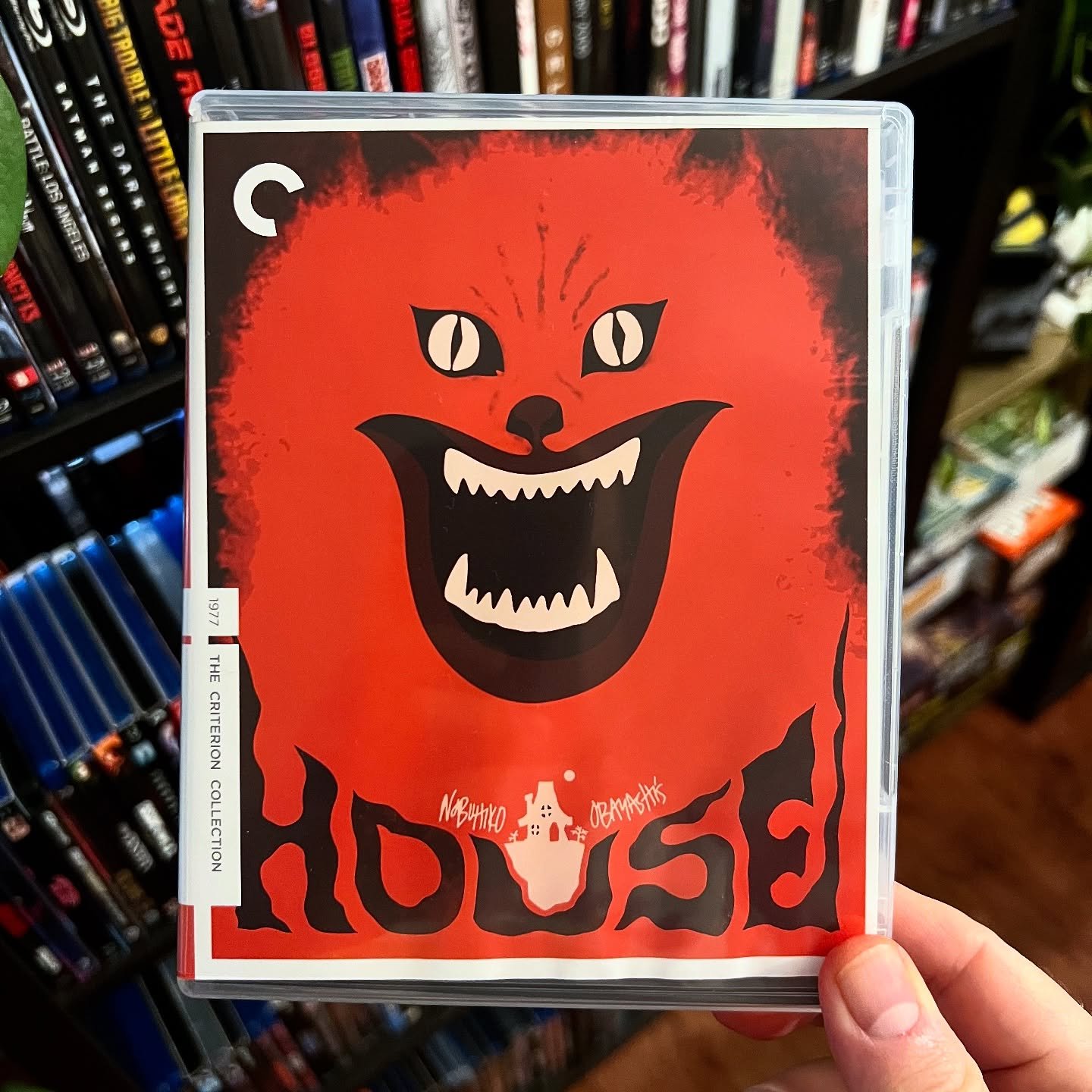 #NowWatching at PAD Studio: North - HOUSE aka HAUSU (1977)

Been on my watchlist for a long time so when I saw it on sale I pulled the trigger. Can&rsquo;t go wrong with any movie from The Criterion Collection 🤘-Corey 
&mdash;&mdash;&mdash;&mdash;&m