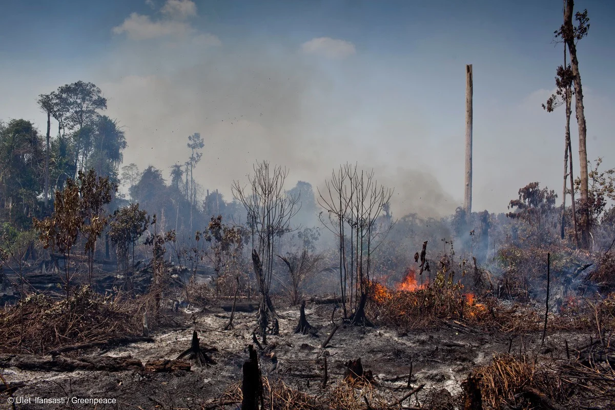 E3: Brewing a solution to save our rainforests - C16 Biosciences