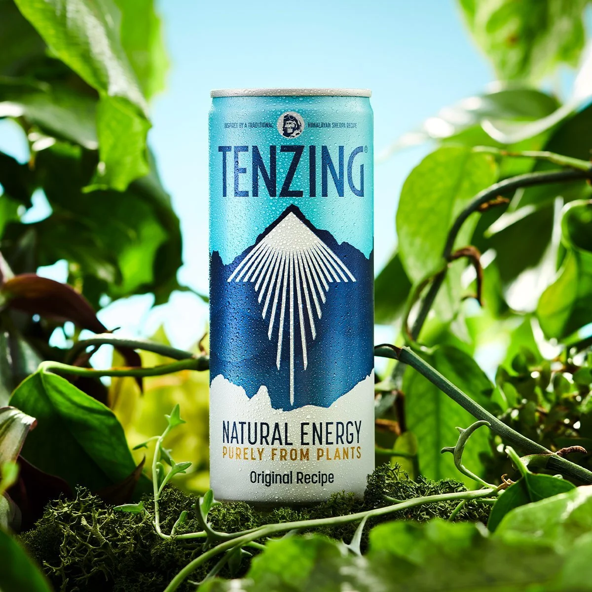 Tenzing on In Good Hands