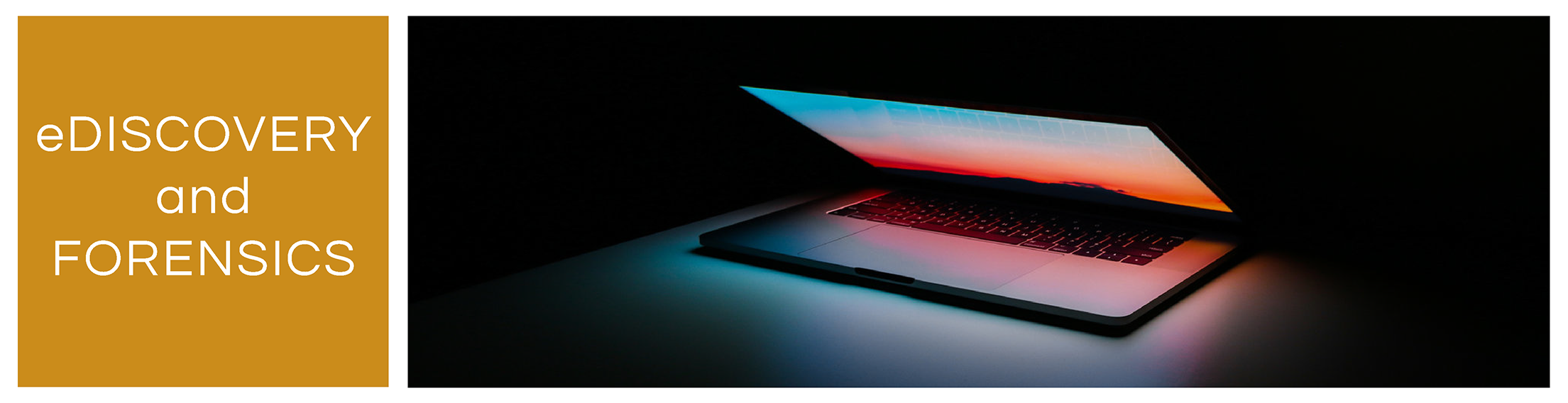 ediscoveryheader.png