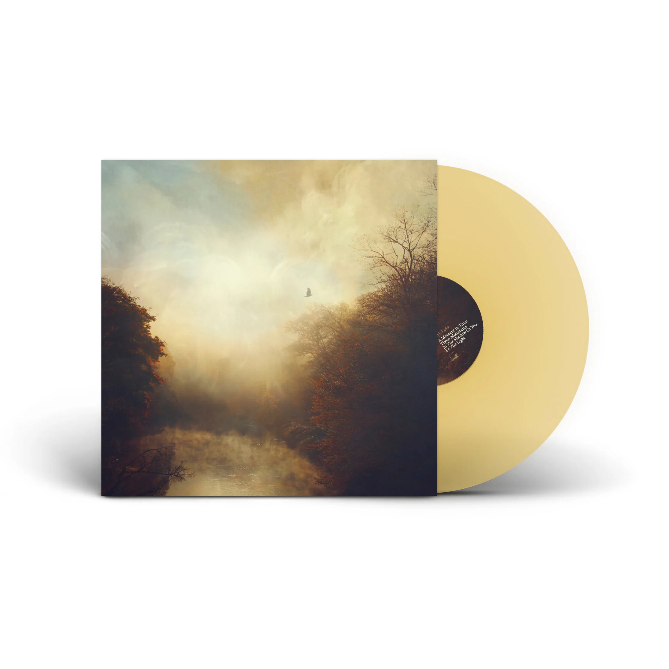 Stray Theories - This Light (Album Preorder - n5MD)