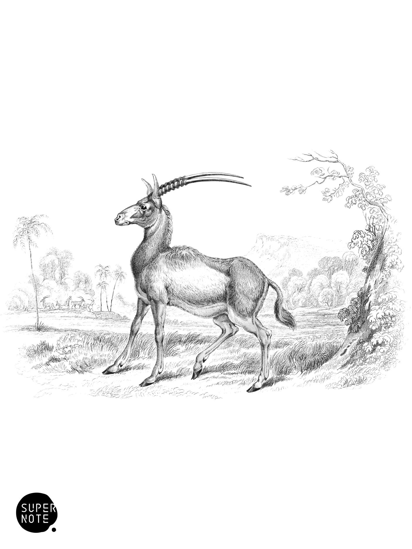 Algazel (vol-11 plate-24).png