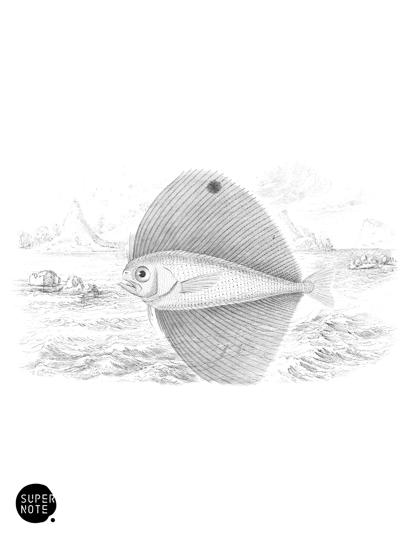 Argus Pteraclis (vol-27 plate-10).png