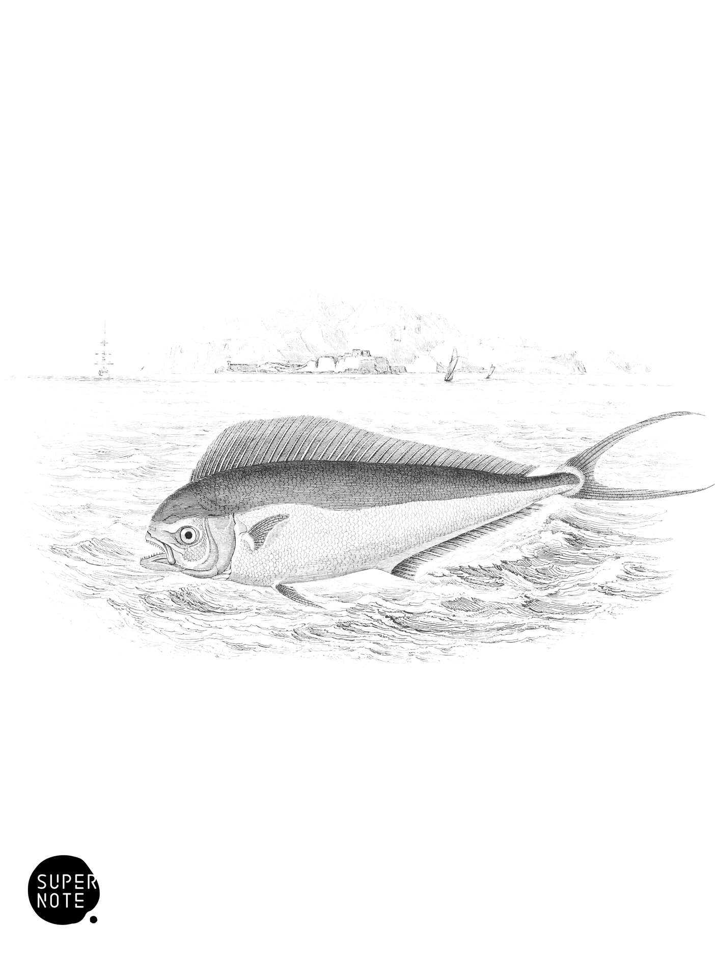 Atlantic Coryphæne, or Dolphin (vol-27 plate-23).png