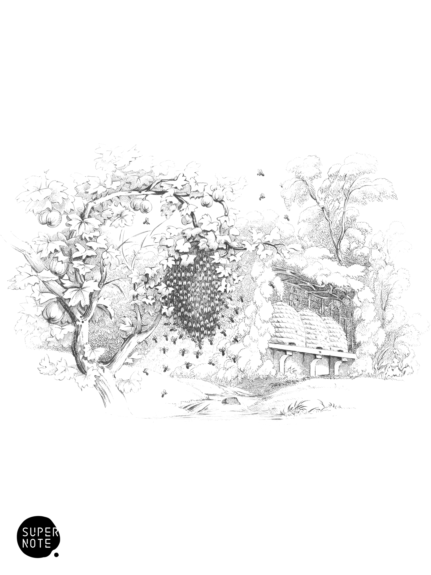 Bees Swarming (vol-26 plate-7).png