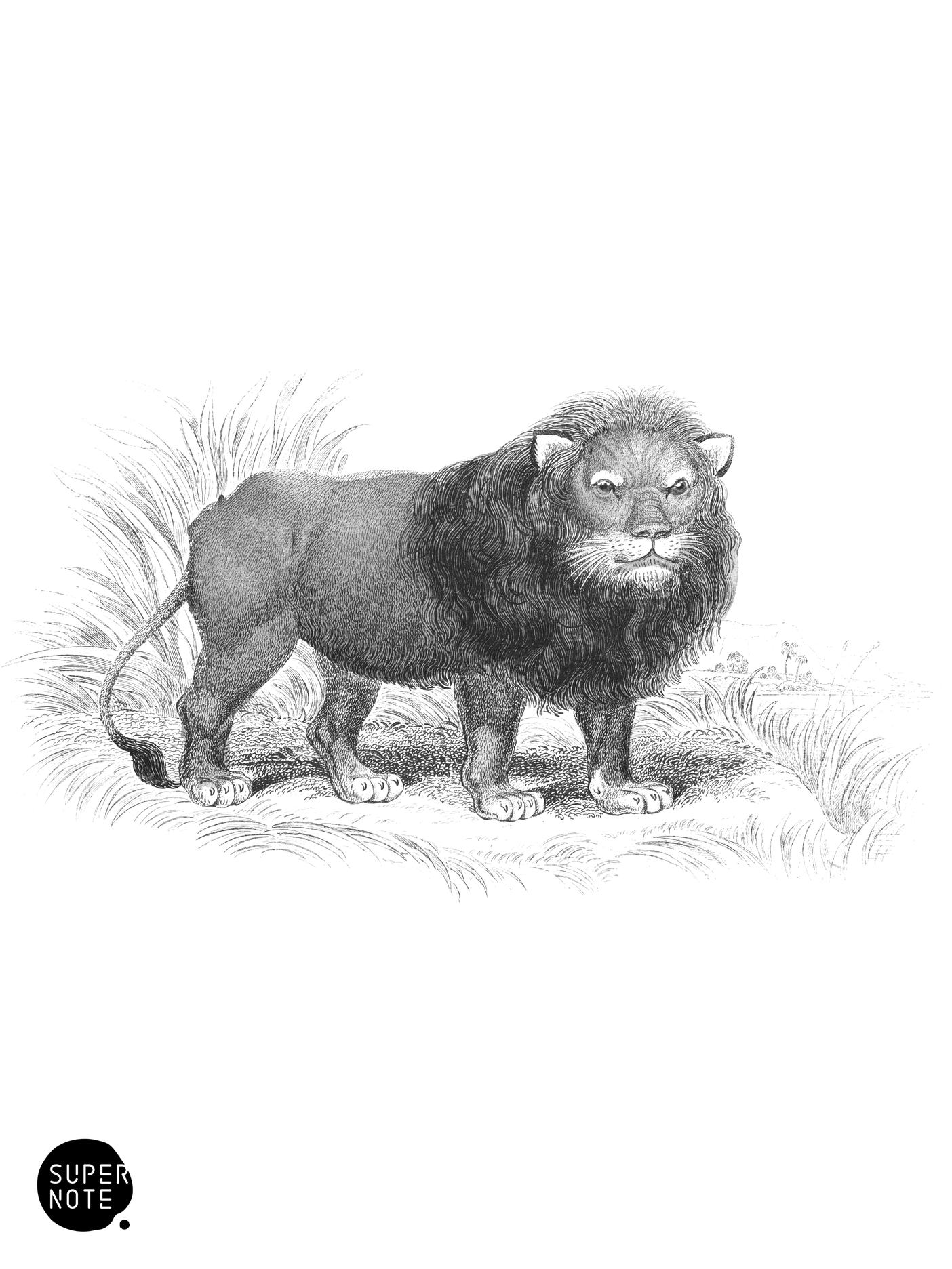 Black Maned Lion (vol-35 plate-10).png